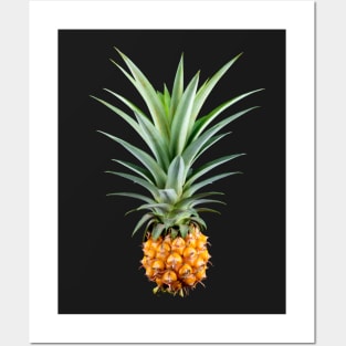 Pineapple Photograph Posters and Art